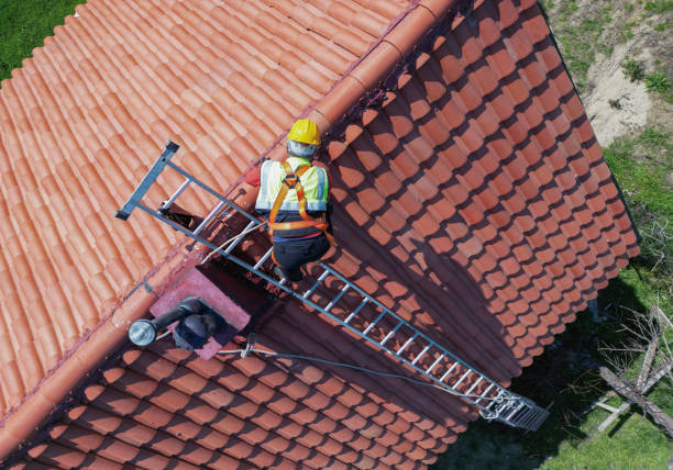 Best Slate Roofing  in Carbondale, IL